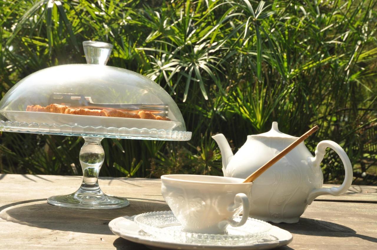 Bed and Breakfast Ca' Barbona Lido di Classe Exterior foto